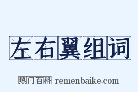 左右翼组词是什么意思的图片